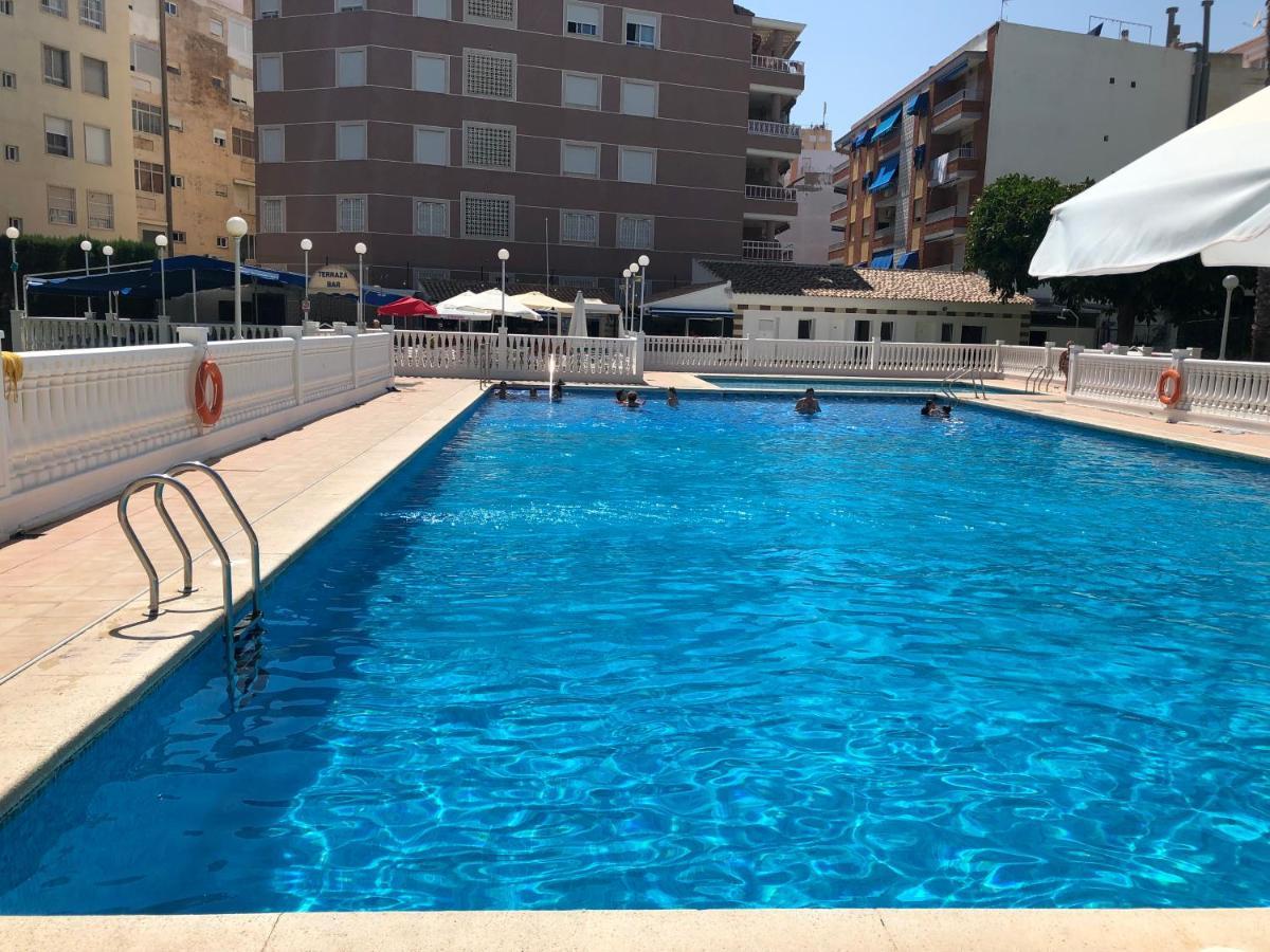 Palmeral Locos Torrevieja