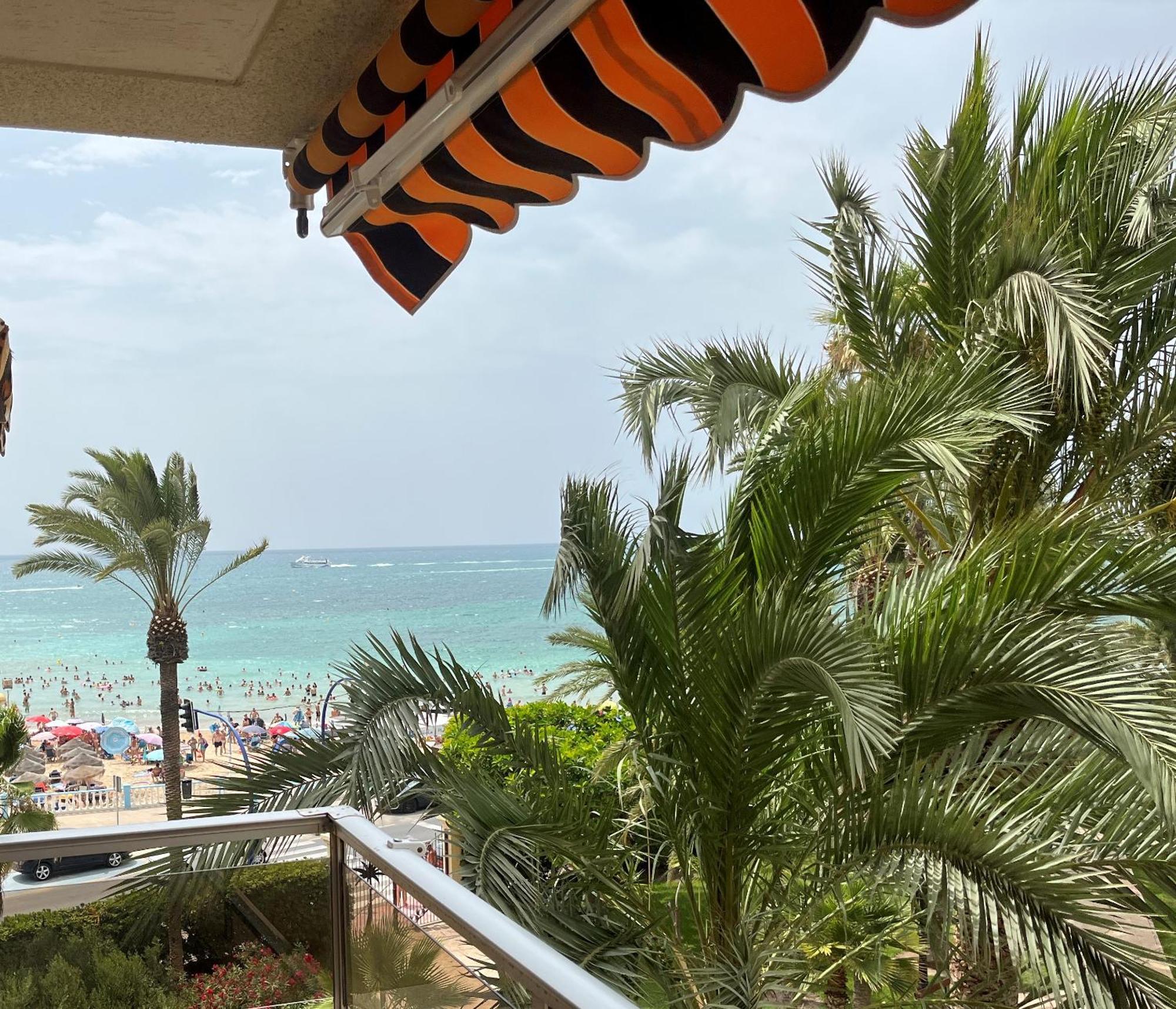 Palmeral Locos Torrevieja